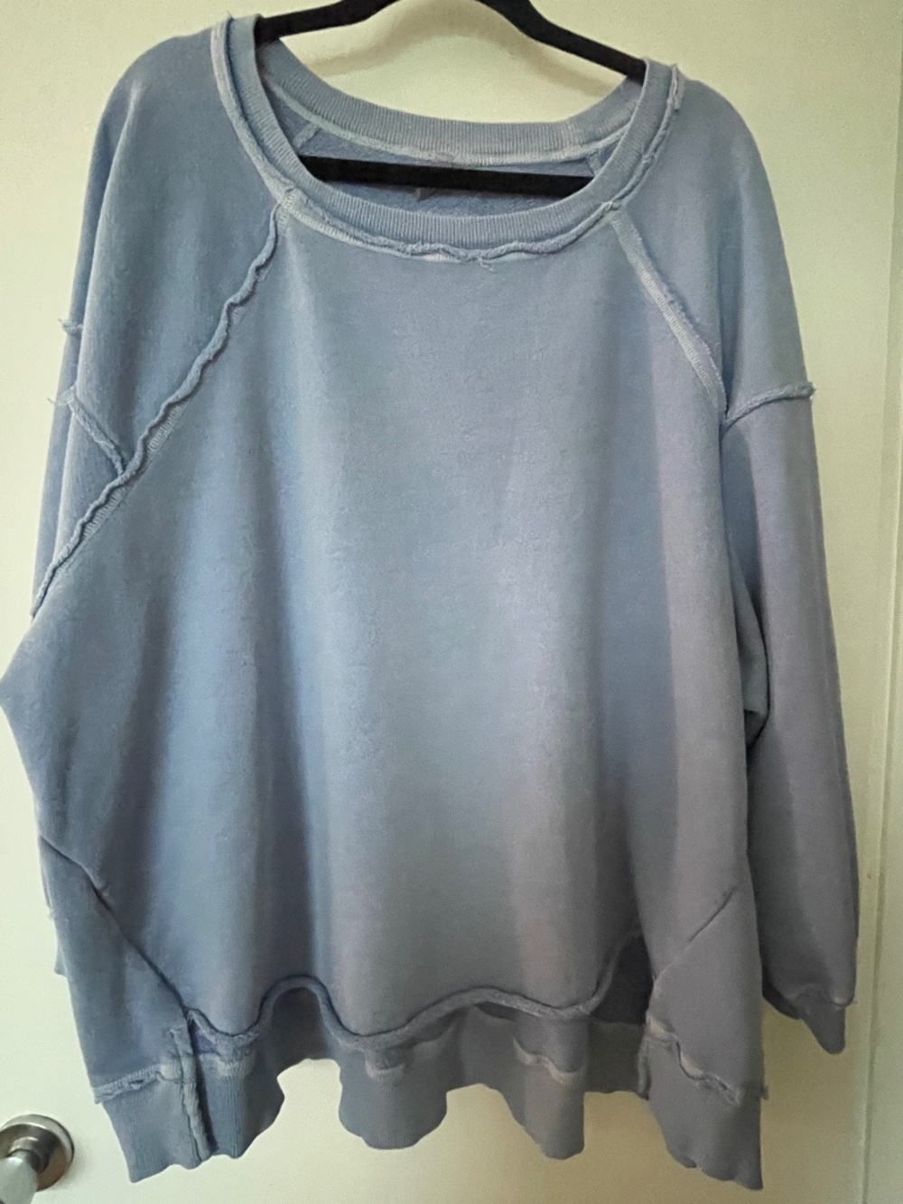 Free People Oversized Sweatshirt